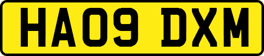 HA09DXM