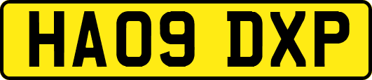 HA09DXP