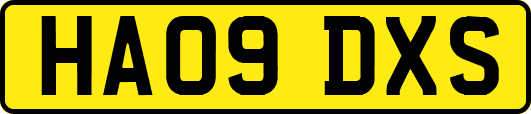 HA09DXS