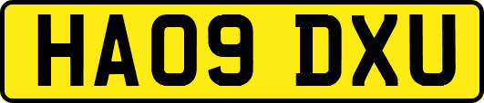 HA09DXU