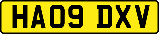 HA09DXV