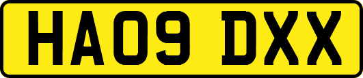 HA09DXX