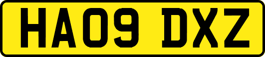 HA09DXZ