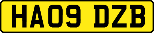 HA09DZB