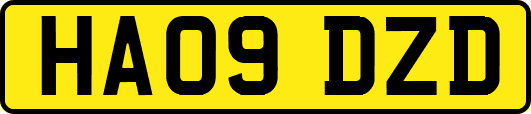 HA09DZD
