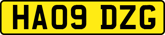 HA09DZG