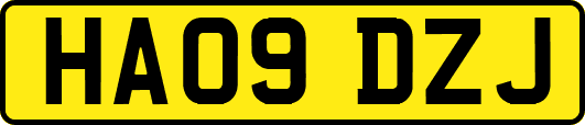 HA09DZJ