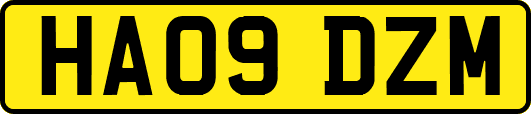 HA09DZM
