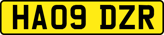 HA09DZR
