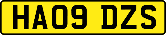 HA09DZS