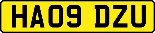 HA09DZU