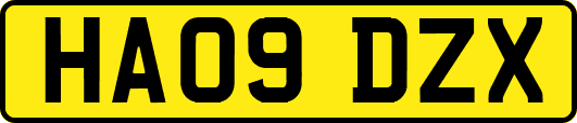 HA09DZX