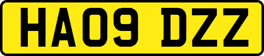 HA09DZZ
