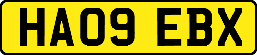 HA09EBX