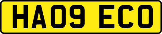 HA09ECO