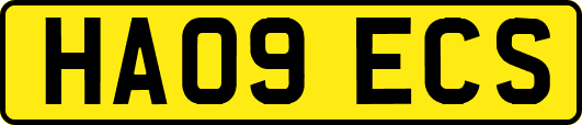 HA09ECS
