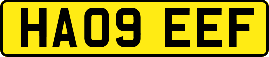 HA09EEF