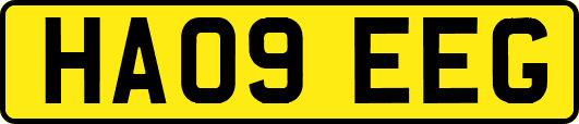 HA09EEG