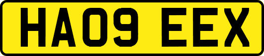HA09EEX