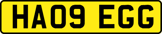 HA09EGG