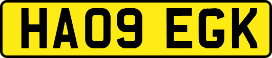 HA09EGK