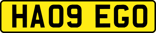 HA09EGO