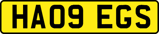 HA09EGS