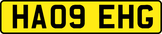 HA09EHG