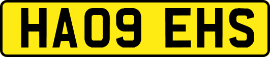 HA09EHS