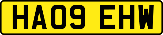 HA09EHW