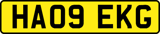 HA09EKG