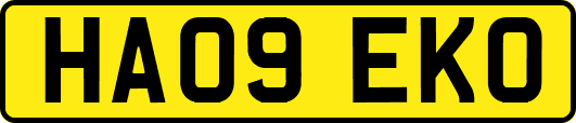 HA09EKO