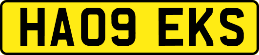 HA09EKS