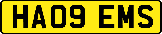 HA09EMS
