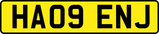 HA09ENJ