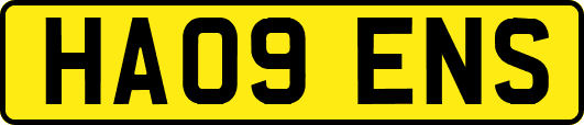 HA09ENS