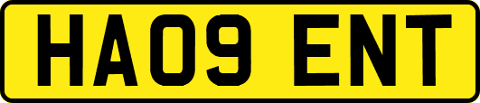 HA09ENT