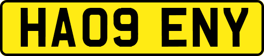 HA09ENY