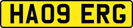HA09ERG
