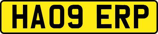 HA09ERP