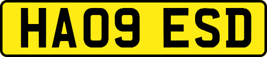HA09ESD