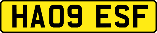 HA09ESF