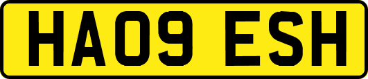 HA09ESH