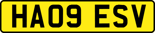 HA09ESV