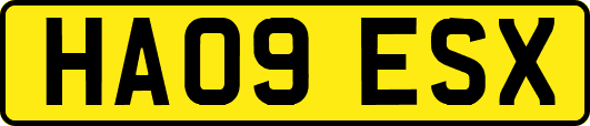 HA09ESX