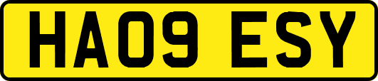 HA09ESY