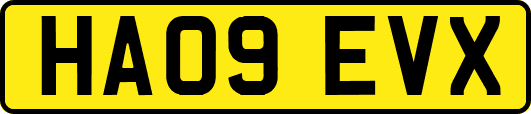 HA09EVX