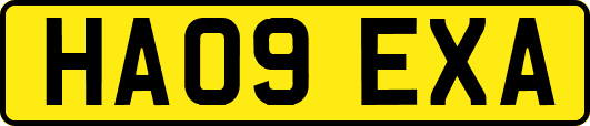 HA09EXA