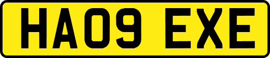HA09EXE