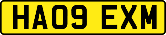 HA09EXM